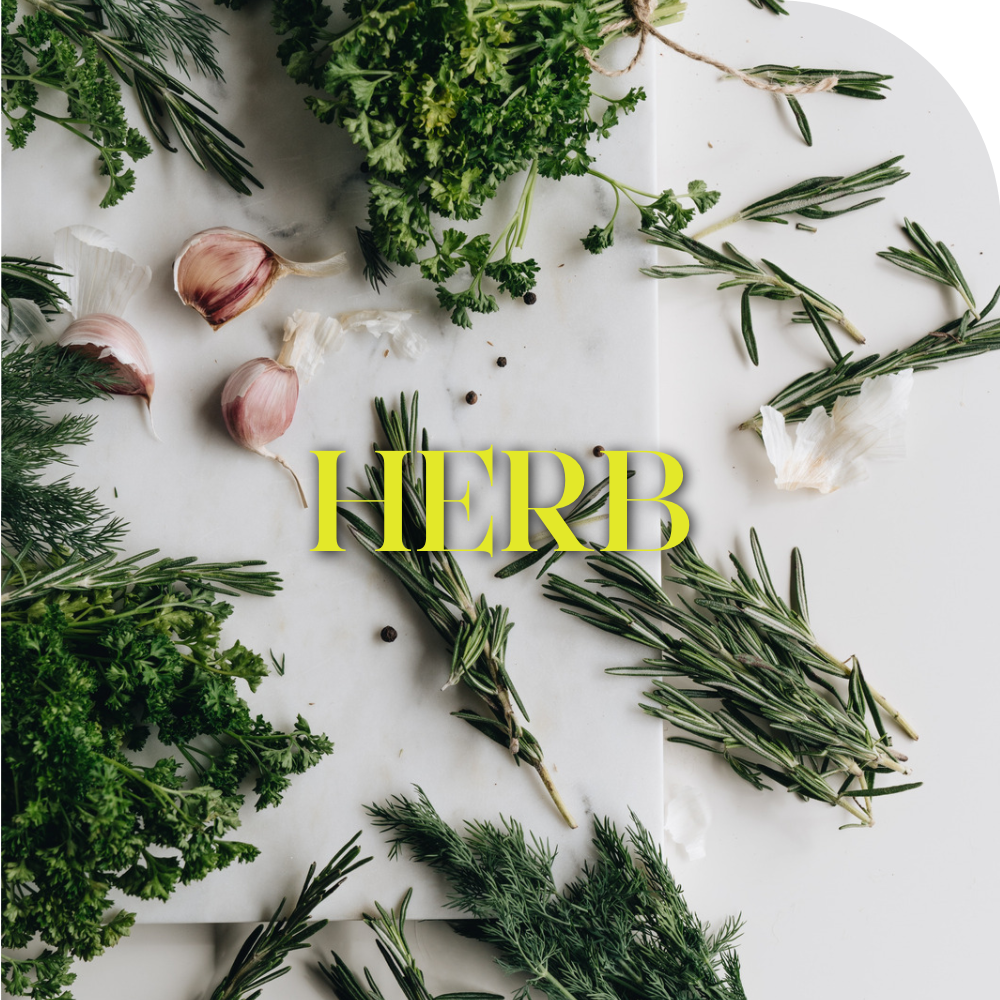 Herb - MIIM.MIIC
