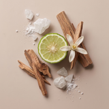 NO 181 CEDAR ALDEHYDES Roll-On Perfume