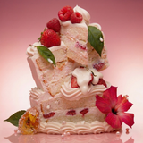 No 239 TONKAN RASPBERRY Duo Set