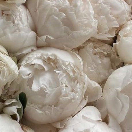 No 55 Soft Vanilla Fruit