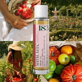 No 183 TOMATO VINE Collectors Kit