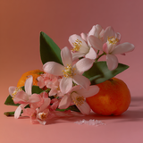 NO 401 TROPICAL FLORAL WATER Eau De Parfum
