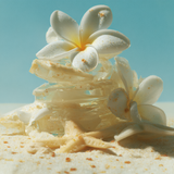 No 151 AQUATIC SOLAR Roll-On Parfum