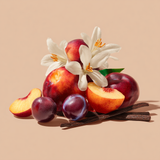 No 419 STONE FRUIT & BELLINI Dry-Touch Hair & Body Oil